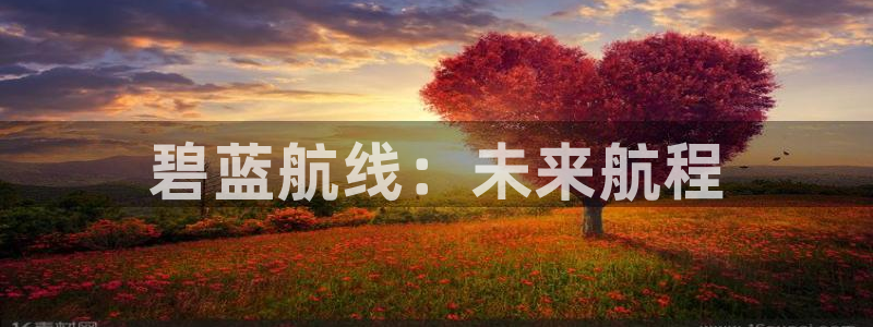 28大神预测组合