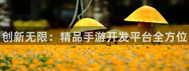 28大神开奖预测