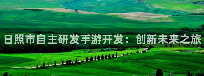 28大神怎么下载不了