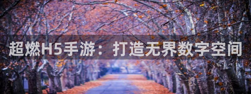 28大神开奖软件