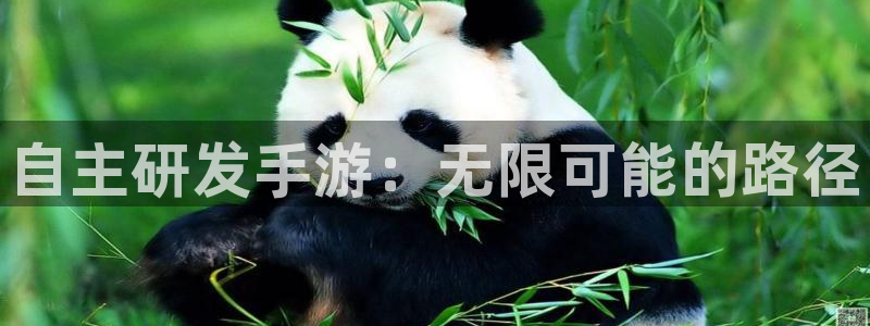 大神pc28开奖结果