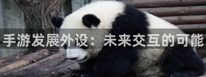 28大神软件不能用了