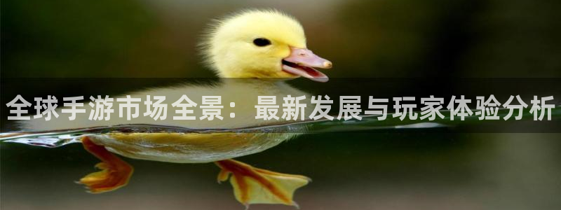 pg国际开奖官网查询中奖号码：全球手游市场全景：最新发展与玩