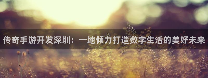 28大神加拿大：传奇手游开发深圳：一地倾力打造数字生活的美好