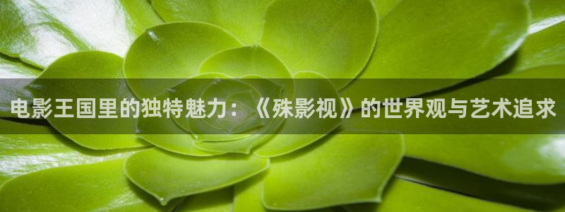 老子影院午夜：电影王国里的独特魅力：《殊影视》的世界观与艺术追求