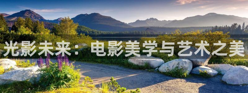 2020神马未来老子我不卡二级片：光影未来：电影美学与艺术之美