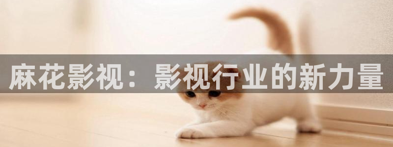 老子神马影院在线观看