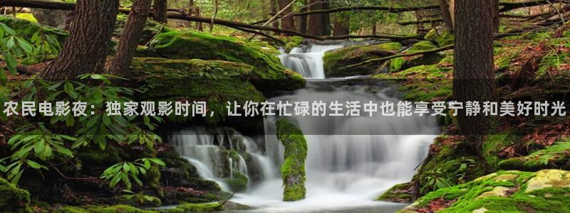 关于老子的电影