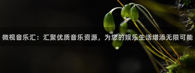老子影视网