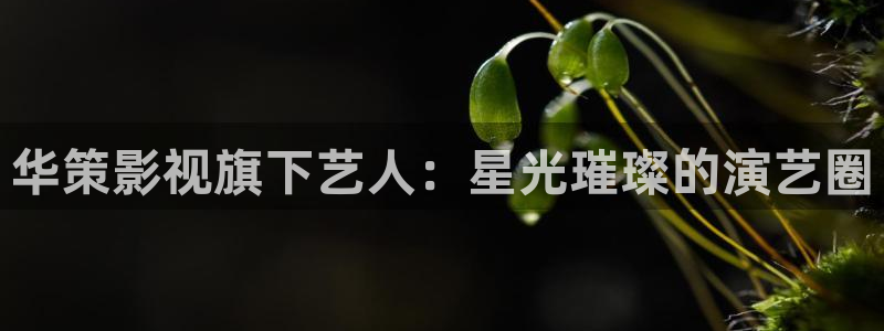 老子电影院秋霞电影网